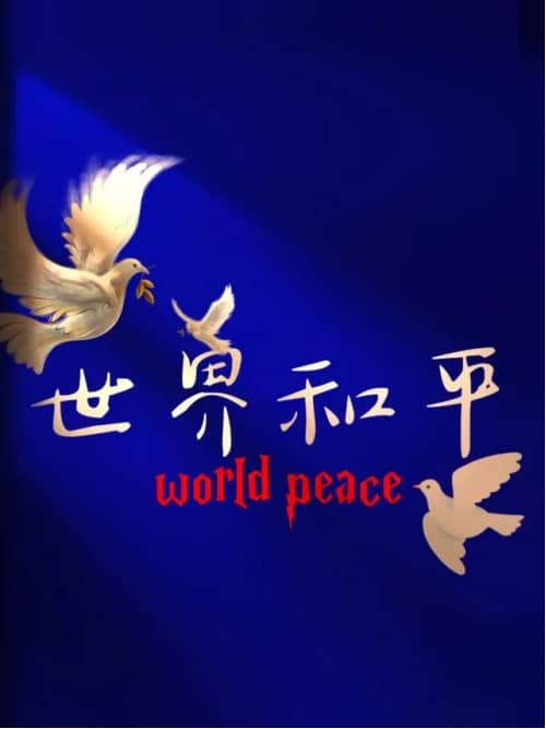 集團董事長陳偉其：構(gòu)建韌勁系統(tǒng)——從印巴沖突說開